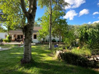 El Garrotal - El Bosque - 0