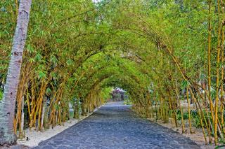 Seasense Boutique Hotel & Spa - 2