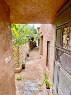 Coopérative Ogandou Maison d'hôtes familiale - Skoura - 7