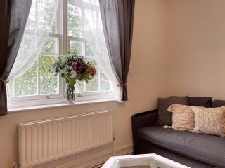 Harper's Place near Kings Cross - 2 Double Beds, 1 Sofa Bed, Great Location, Ideal for Families - 7