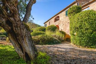Podere Mencoini, stylish villa with private pool and olive garden - Scrofiano - 8