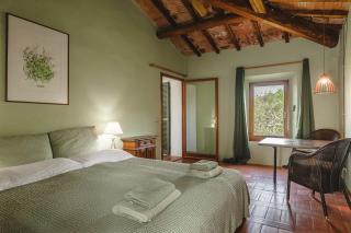 Podere Mencoini, stylish villa with private pool and olive garden - Scrofiano - 9