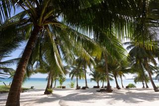 Tamu Koh Rong - Koh Rong Island - 5