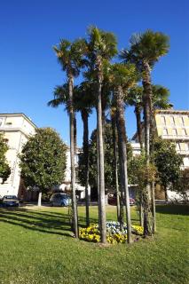 Appartamenti Lungolago - Verbania - 2