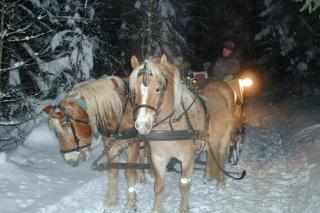 Pension Reiterhof Aigner - Aich - 5