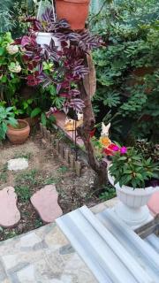 A beautiful house on the Bosphorus in a wonderful garden - 2