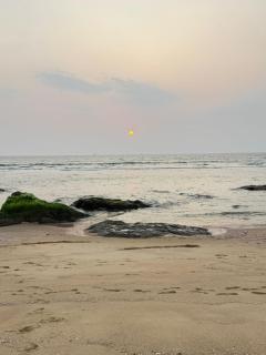Beach Hive - Mangalore - 7