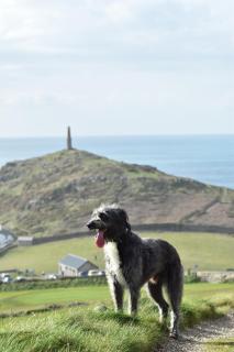 Cape Cornwall Club - 3