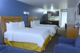 Radisson Hotel & Convention Center Toluca - Toluca - 7