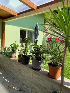 Privat Zimmer Sanela - 5