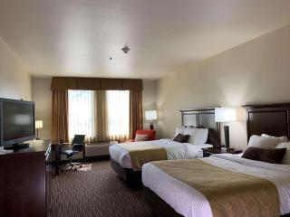 Radisson Hotel River Falls - River Falls - 6