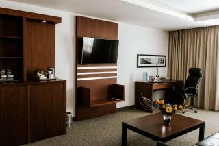 Radisson Poliforum Plaza Hotel Leon - León - 2