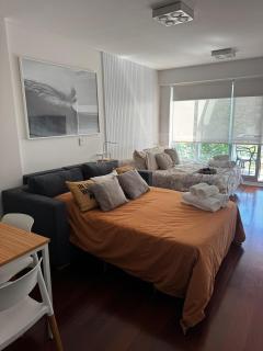 Modern Studio in Palermo Hollywood - Buenos Aires - 1
