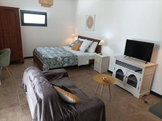 Adorable guets houst avec terrasse - La Possession - 9