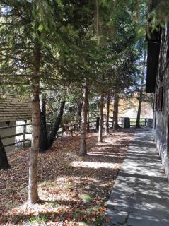 Drvenica Cabin - Kopaonik - 1