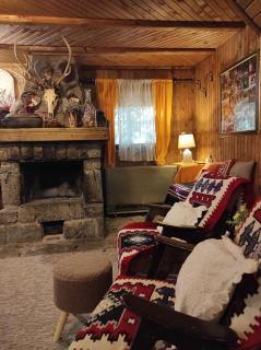 Drvenica Cabin - Kopaonik - 0