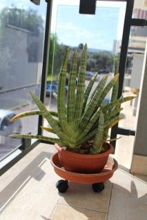 Belvedere da Madia - 9