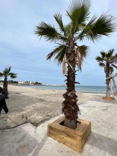 Emma's House by IL PUMO DI PUGLIA - Torre Canne - 9