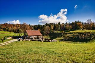 Farm Stay Ana - 2