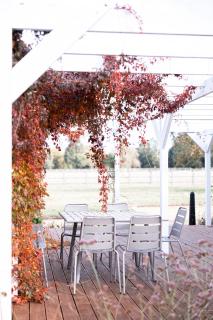 Orchard Cottage - Saint Osyth - 3