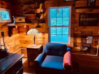 Super Cozy Four-season Adirondack Cabin - Prime Location! - 3