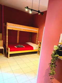 The Red Studio - Castle view - 8