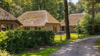 Molecaten Park De Leemkule - Hattem - 1