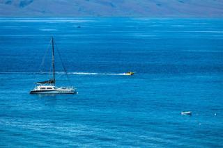 KBM Resorts FREE CAR The Whaler WH2-1169 Sweeping Ocean Views newly furnished 2023 - Kaanapali - 3