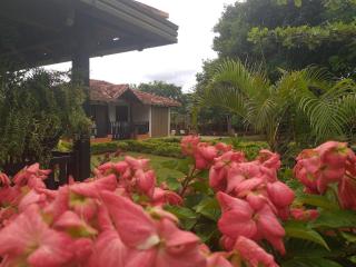 Eco - Hotel San Miguel Barichara Campestre - Arte y café - Barichara - 2