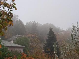 Το παραδοσιακό - Vyzitsa - 5