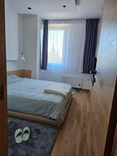 Apartment 308 in aparthotel Zlatni Javor - private host - Jahorina - 6