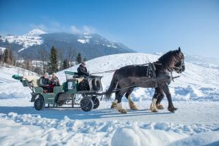Chalet Alpenherz - 1