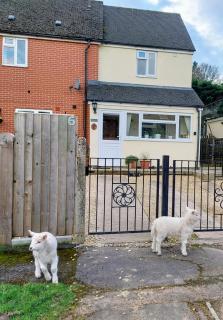 The Beehive - Self catering in the heart of the Forest of Dean - Whitecroft - 9