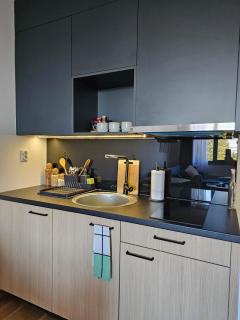 Apartment 308 in aparthotel Zlatni Javor - private host - Jahorina - 7
