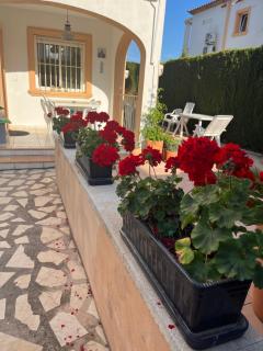 Bougain-casa - Calpe - 9