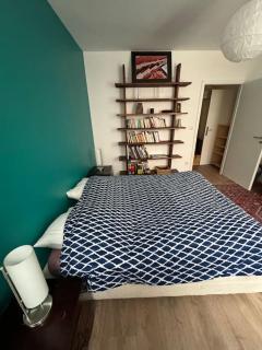 Appartement au calme proche centre ville - Mulhouse - 8