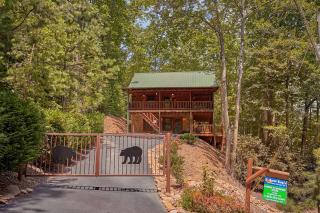 Browns Bear Den #235 - Gatlinburg - 9