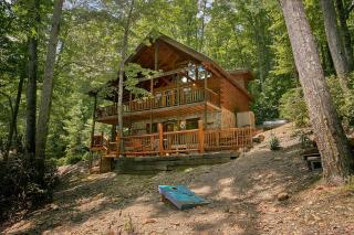 Browns Bear Den #235 - Gatlinburg - 7
