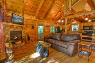 Browns Bear Den #235 - 6