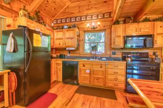 Browns Bear Den #235 - 1