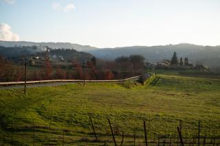 Casa Caterina Tuscany - Moncioni - 9
