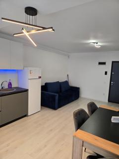 Apartament zona aeroport - 8