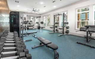 Full Apartment, 15 Min to Parks,Pet-Friendly, King Bed & Lots of Amenities - Orlando - 5