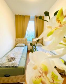 Bright 5BR Apartment w Great Transport Link - Vienne - 5