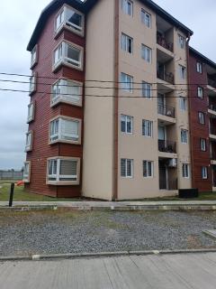 Departamento íntimo y de entorno natural. - Temuco - 3