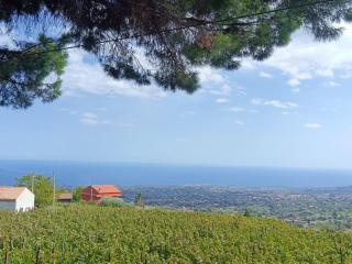 Etna Antico palmento - 2