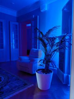 SPA Exotic Studio DETOX Love Grey Manufaktura Apartament VIP BDSM Swing - Łódź - 4