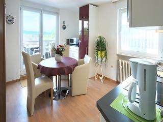 Apartmenthaus am Schwarzwälder Hof - Bad Bellingen - 6