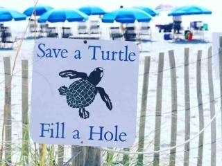Coastal King Beach Flat Convenient to Everything! - Hilton Head Island - 8