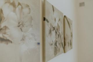 Yourbanflat Il Chiostro Nascosto - Padua - 3